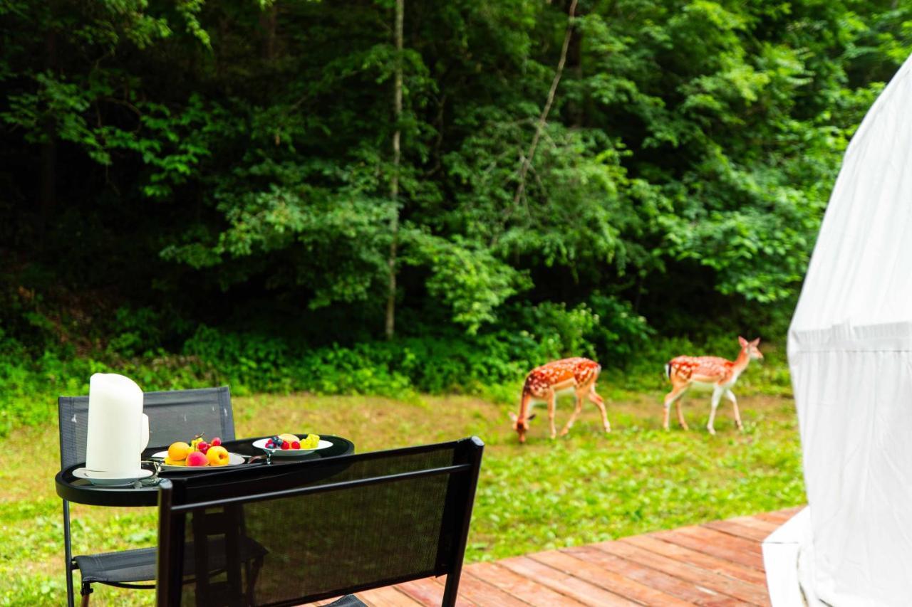 Solace Glamping 2 Sevierville Eksteriør billede